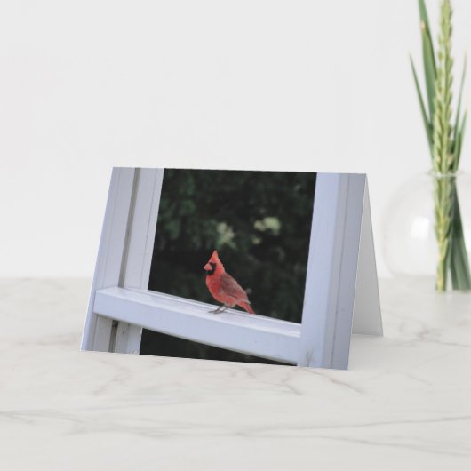 Carte Cardinal Rouge, Vous Manquez (Devant)