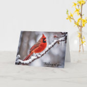 Carte Cardinal sur la branche d'hiver Penser à vous (Fleur jaune)