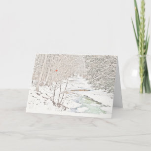 Carte Cardinal sur Winter Creek (Vide à l'intérieur)