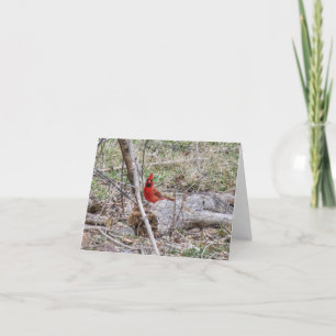 Carte Cardinal vibrant