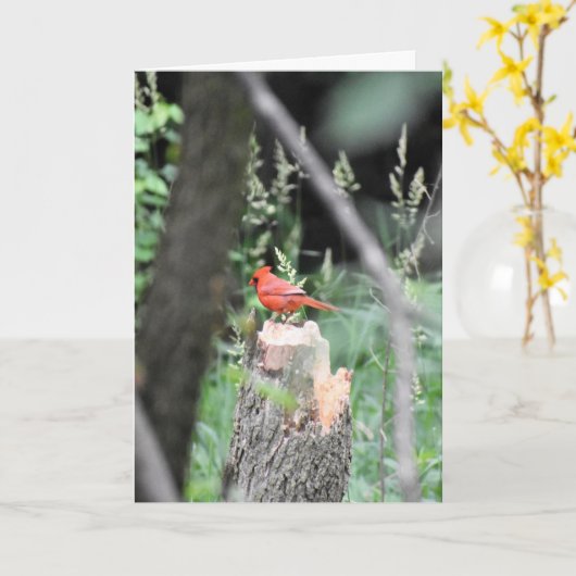 CARTE CARDINALE D'ANNIVERSAIRE (Fleur jaune)