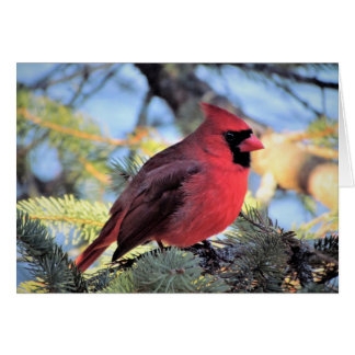 Carte cardinale pour les notes quotidiennes