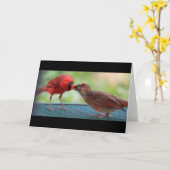 Carte Cardinaux (Fleur jaune)