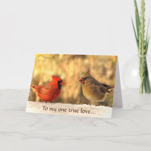 Carte Cardinaux dans l'anniversaire d'automne