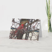 Carte Cardinaux de alimentation, anniversaire heureux (Dos)