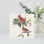 Carte Cardinaux de John James Audubon (Debout devant)