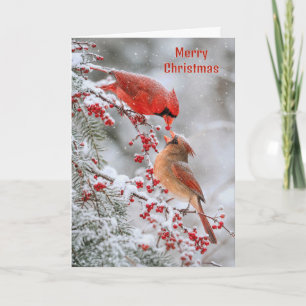 Carte Cardinaux de Noël avec des baies rouges en hiver