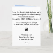 Carte Cardinaux d'hiver (Dos)