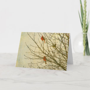 Carte Cardinaux du Nord dans un arbre