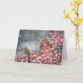 Carte Cardinaux du Nord | Marion, Illinois (Fleur jaune)