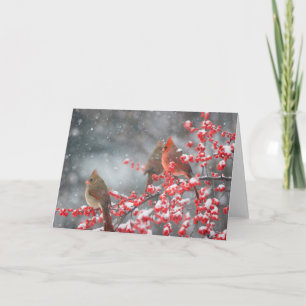 Carte Cardinaux du Nord   Marion, Illinois