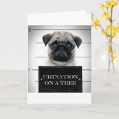 Carte Carlin (Fleur jaune)