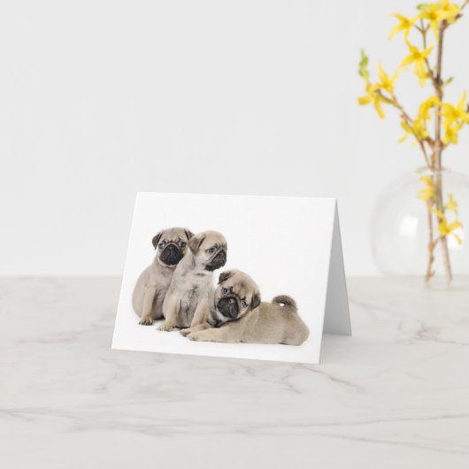 Carte carlin (Fleur jaune)