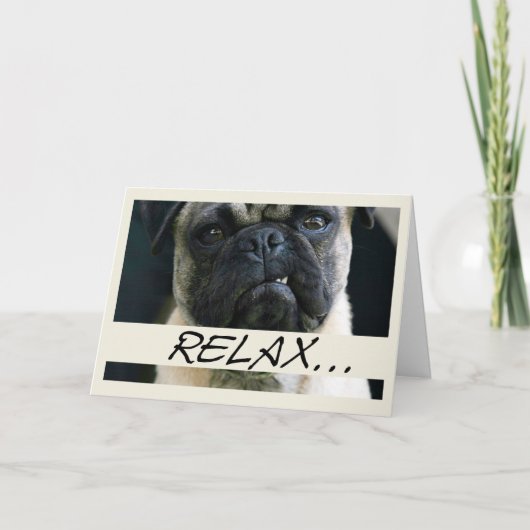 Carte Carlin Chien Anniversaire (Devant)