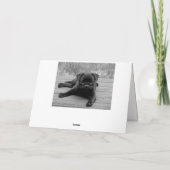 Carte Carlin Chien Chien Chien Heureux Anniversaire Cart (Dos)