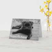 Carte Carlin Chien Chien Chien Heureux Anniversaire Cart (Fleur jaune)