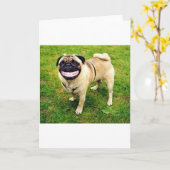 Carte carlin de sourire de chien mignon (Fleur jaune)