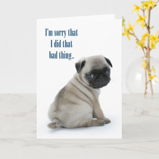 Carte Carlin désolé (Fleur jaune)