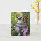 Carte Carlin en Jug (Fleur jaune)