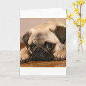 Carte carlin " Innocent " (Fleur jaune)