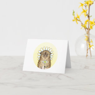Carte Carlins de fleurs : marguerite