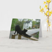 Carte Carnet de Cat Doing Morning (Fleur jaune)