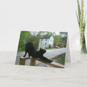Carte Carnet de Cat Doing Morning