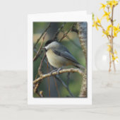 Carte Carolina Chickadee Note Card (Fleur jaune)