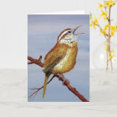 Carte Carolina Wren Greeting Card (Fleur jaune)
