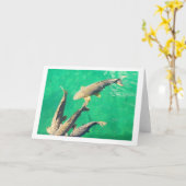 Carte Carpe (Fleur jaune)