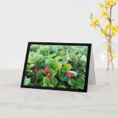 Carte Carré de Fraises (Fleur jaune)