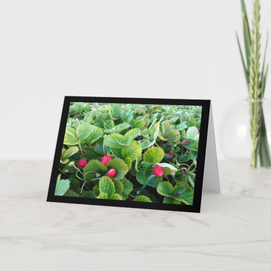 Carte Carré de Fraises (Devant)