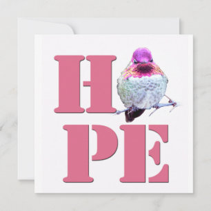 Carte Carré photo HOPE Pink Anna's Hummingbird