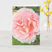 Carte Carte. Conception "Rose Rose Araignée Blanche". Ph (Fleur jaune)
