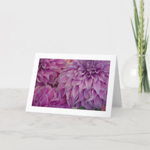 Carte Carte, "Dahlia # 151"