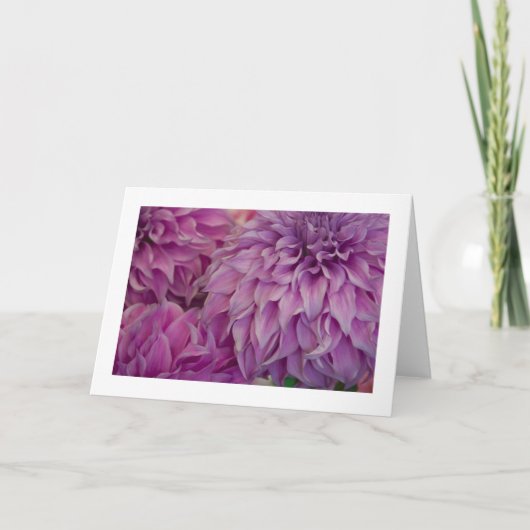 Carte Carte, "Dahlia # 151" (Devant)