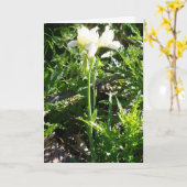 Carte "Carte de Pâques 'Iris Barbu Goldkist'" (Fleur jaune)