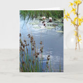 Carte "Carte de sympathie des nénuphars (Fleur jaune)