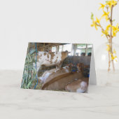 CARTE "CARTE D'HUMOUR DE VACHE 50E ANNIVERSAIRE" (Fleur jaune)