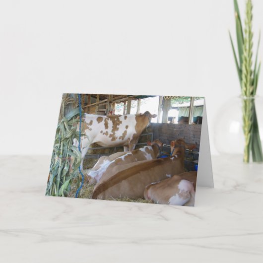 CARTE "CARTE D'HUMOUR DE VACHE 50E ANNIVERSAIRE" (Devant)