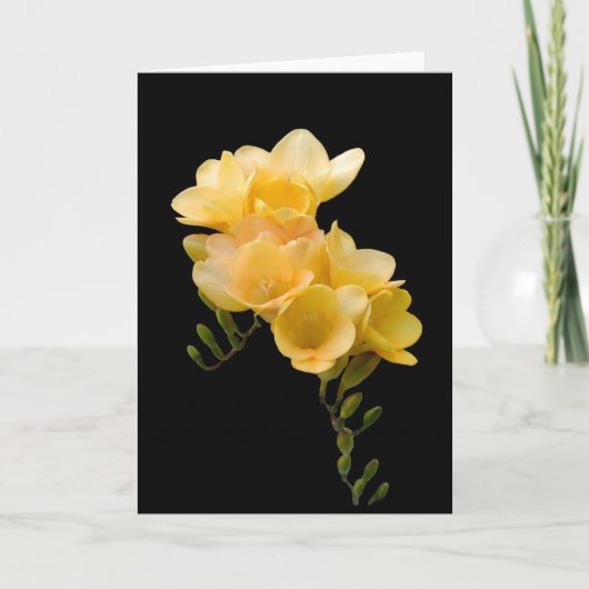 Carte Carte, freesia jaune # 1 (Devant)