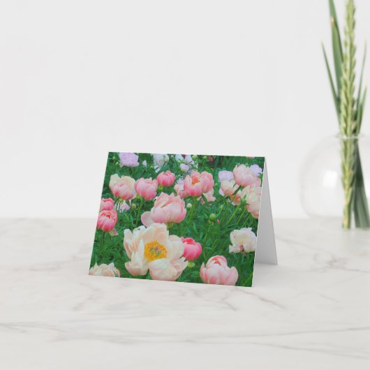 Carte Carte, "JARDIN DES PEONIES PASTEL" (Devant)
