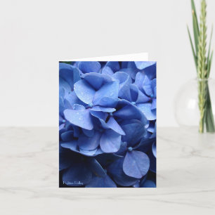 Carte Carte-lettre vide/carte d'hortensias bleus