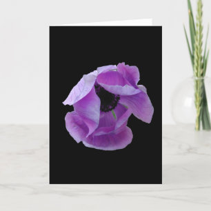 Carte Carte, un pavot pourpre parfait # 1