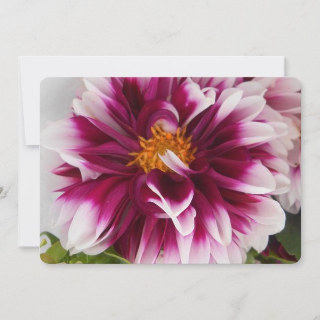 Carte Cartheuserine (Devant)