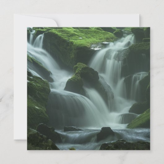 Carte Cascade calmante (Devant)