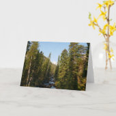 Carte Cascade Creek à Grand Teton (Fleur jaune)
