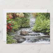 Carte Cascade dorée (Devant)