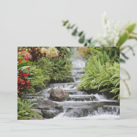 Carte Cascade dorée (Debout devant)