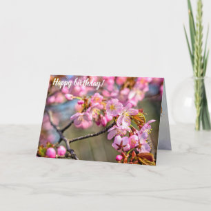 Carte Cascade Gaie De Fleurs Sakura En Printemps
